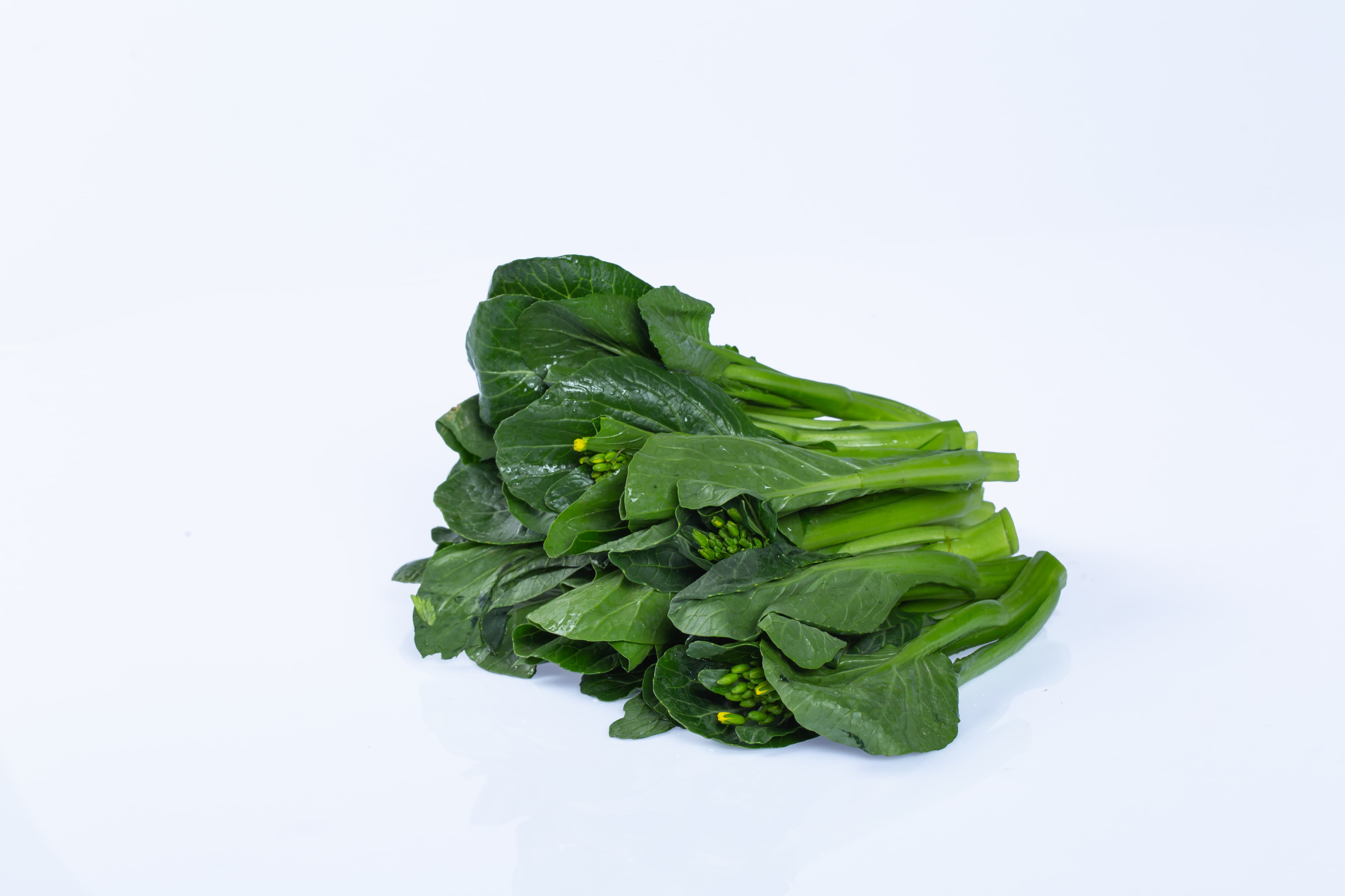 圓葉菜心