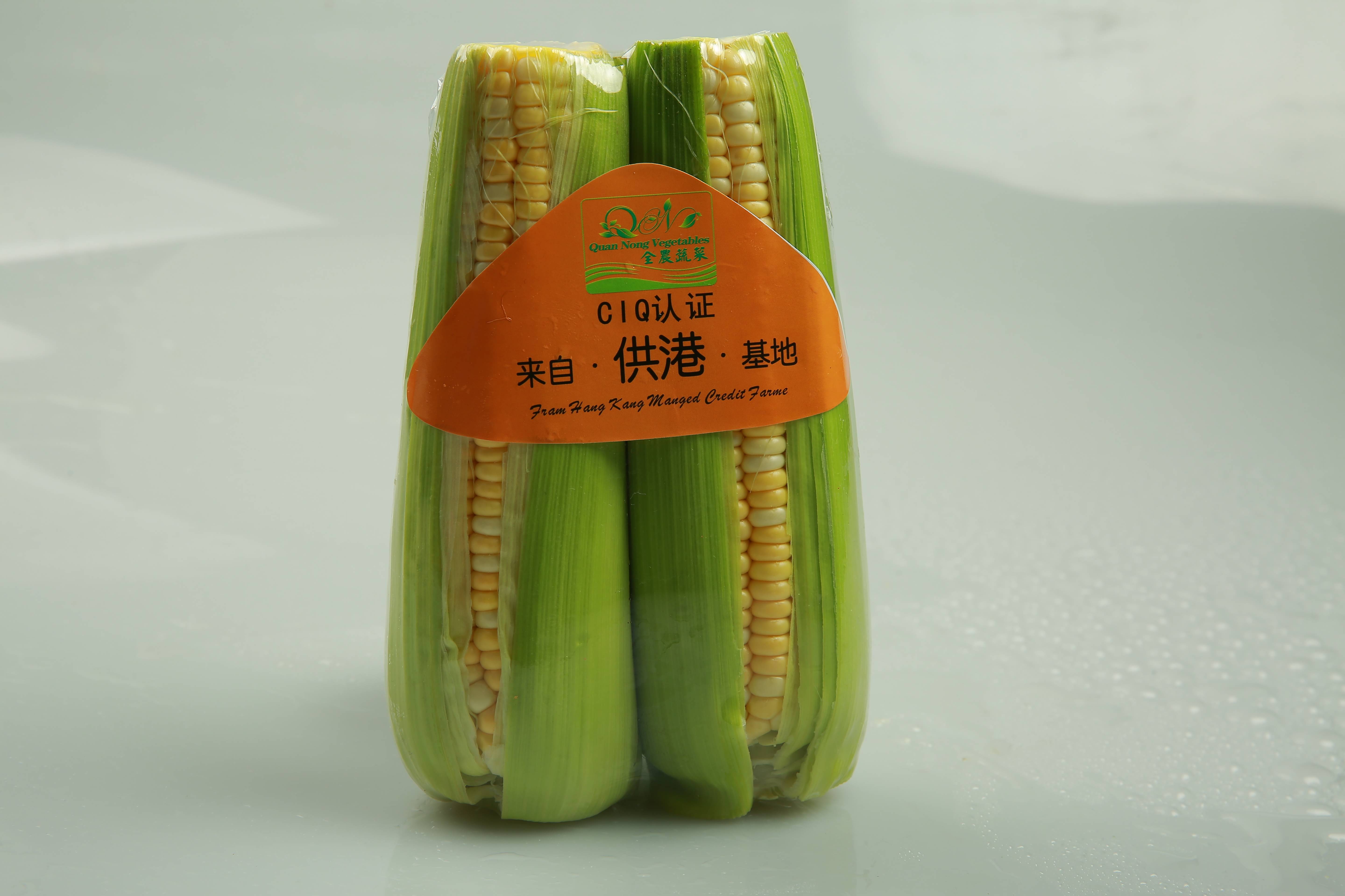 精品玉米