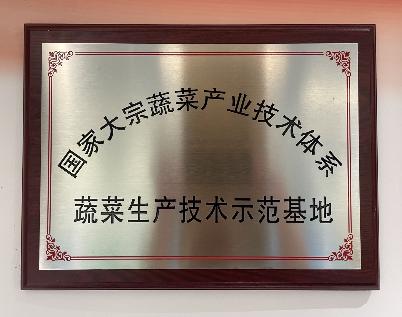 國(guó)家大宗蔬菜產(chǎn)業(yè)技術(shù)體系—蔬菜生產(chǎn)技術(shù)示范基地
